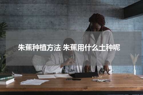 朱蕉种植方法 朱蕉用什么土种呢