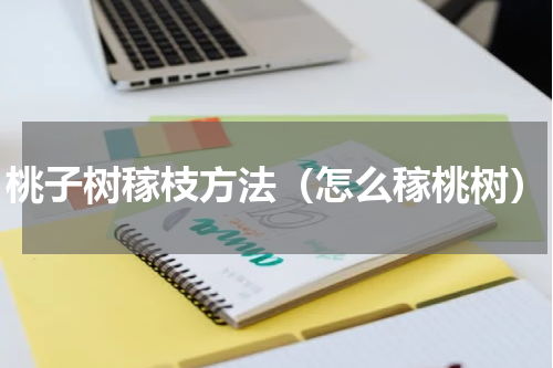 桃子树稼枝方法（怎么稼桃树）