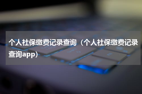 个人社保缴费记录查询（个人社保缴费记录查询app）