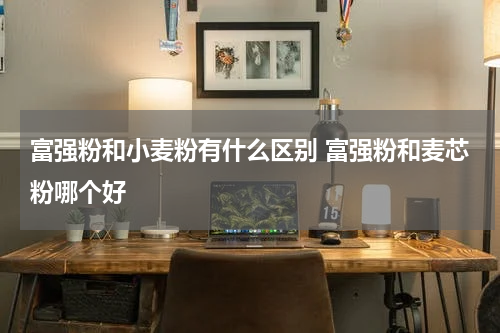 富强粉和小麦粉有什么区别 富强粉和麦芯粉哪个好