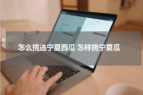 怎么挑选宁夏西瓜 怎样挑宁夏瓜