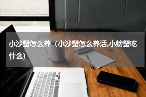 小沙蟹怎么养（小沙蟹怎么养活,小螃蟹吃什么）