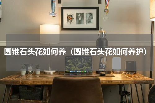 圆锥石头花如何养（圆锥石头花如何养护）