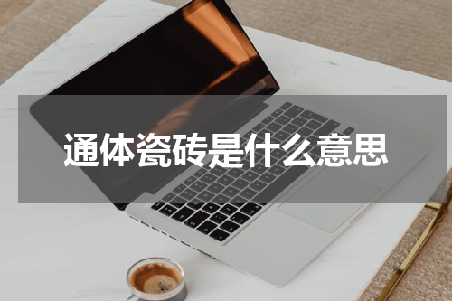 通体瓷砖是什么意思