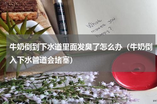 牛奶倒到下水道里面发臭了怎么办（牛奶倒入下水管道会堵塞）