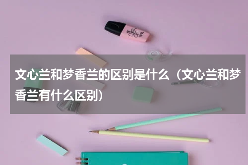 文心兰和梦香兰的区别是什么（文心兰和梦香兰有什么区别）