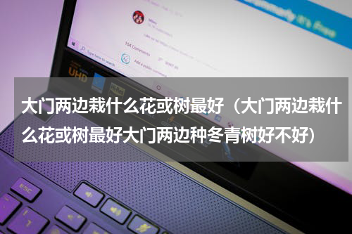 大门两边栽什么花或树最好（大门两边栽什么花或树最好大门两边种冬青树好不好）