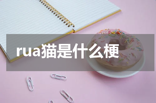 rua猫是什么梗