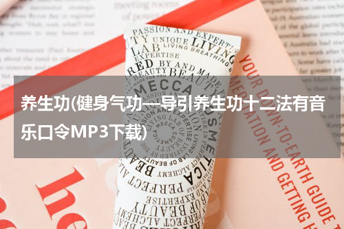 养生功(健身气功—导引养生功十二法有音乐口令MP3下载)